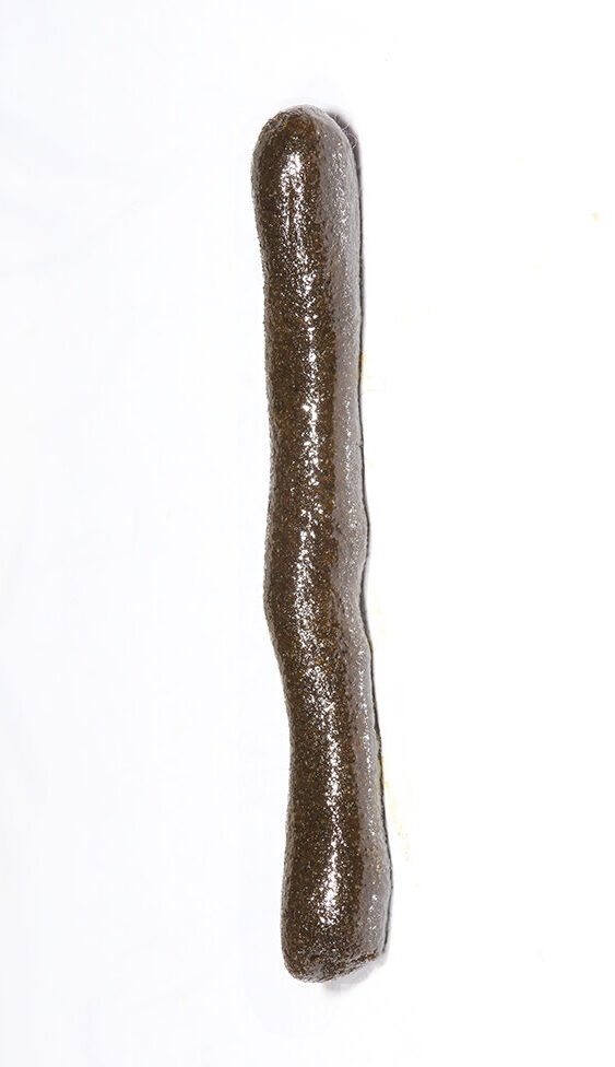 Photo bâtonné de résine