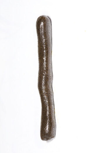 Photo bâtonné de résine